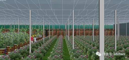 現代農業玻璃溫室的設計要點與科技應用