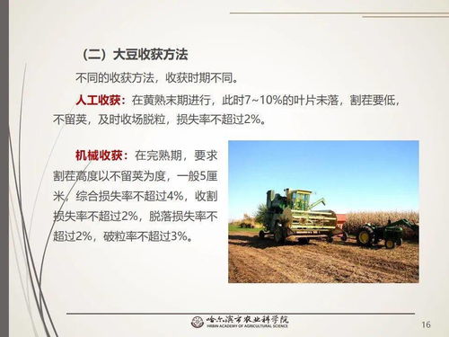 黨建引領謀發展 科技助農備春耕 網絡課堂 大豆生產百問百答