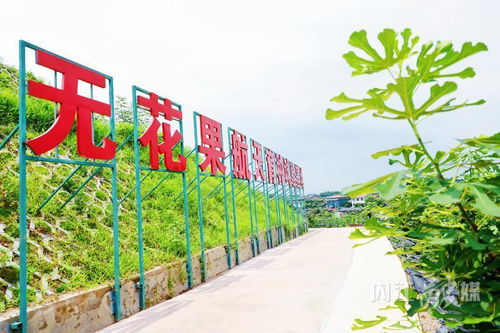 威遠 走好產業發展特色路，打造現代農業新引擎