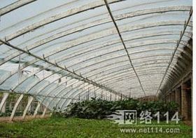 耕耘未來 農業科技如何重塑現代農業