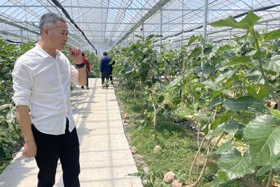 一只橘子的科技裂變——‘26賽道’上的鄉村CEO系列報道之六