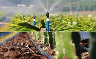 【對(duì)話(huà)創(chuàng)業(yè)者】廣西捷佳潤(rùn)科技股份 用信息技術(shù)為農(nóng)業(yè)插上輕松快樂(lè)的翅膀