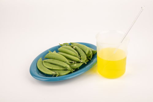 甜碗豆食品安全 農(nóng)業(yè)科技、食品培育與視覺(jué)表達(dá)的交匯點(diǎn)