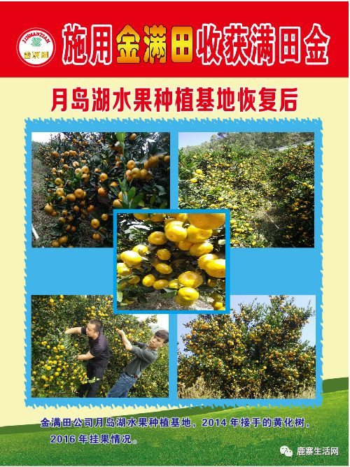 是什么讓這個(gè)基地碩果累累？鹿寨柑橘大咖現(xiàn)場(chǎng)授課，誠(chéng)邀您來(lái)參加